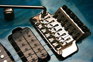 floyd rose, whammy bar